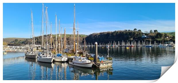 Boats moored up at Dartmouth, Devon  Print by Anthony Palmer-Greene