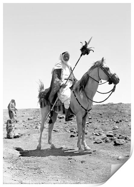 Bedouin man mounted on horse, Egypt, 1898 Print by Philip Brown