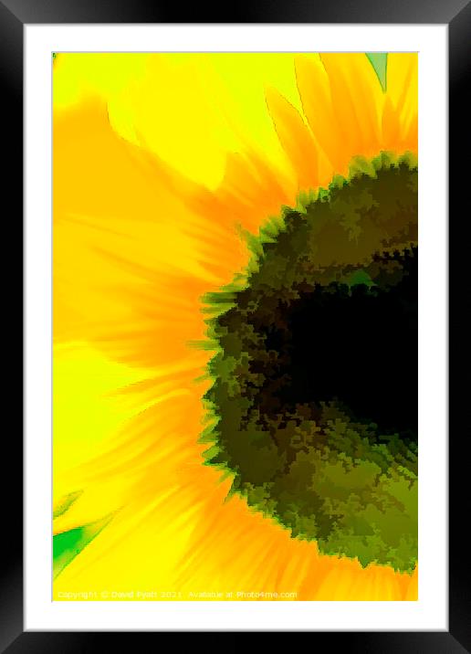 Sunflower Abstraction Art Framed Mounted Print by David Pyatt