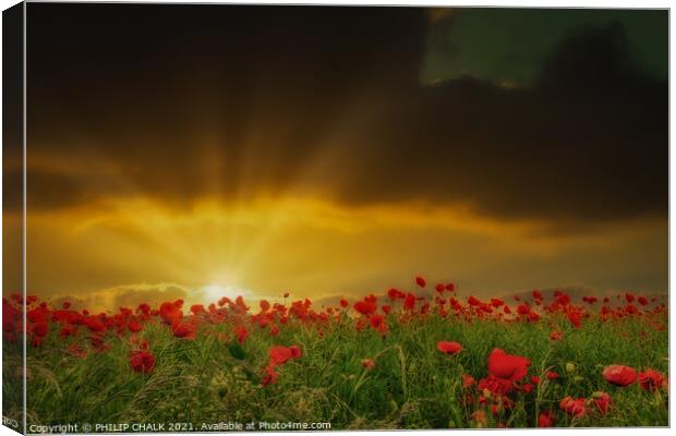 Sunset over a poppy field 122  Canvas Print by PHILIP CHALK