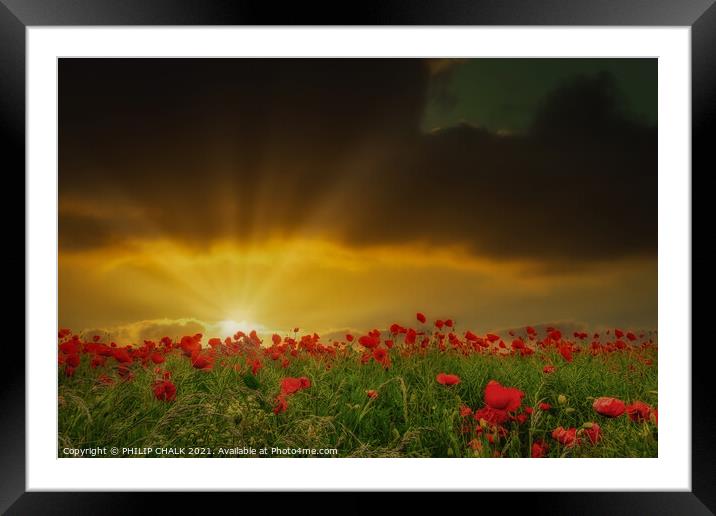 Sunset over a poppy field 122  Framed Mounted Print by PHILIP CHALK