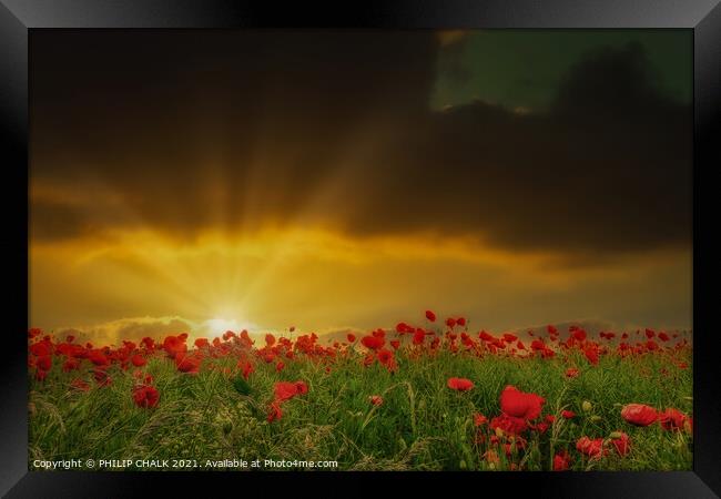 Sunset over a poppy field 122  Framed Print by PHILIP CHALK