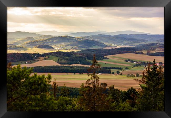 Summer landscape Framed Print by Sergey Fedoskin