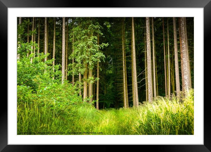 Dark path to the dense forest Framed Mounted Print by Sergey Fedoskin