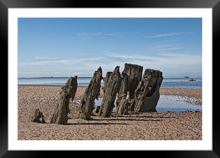 Wreck remains Framed Mounted Print by Sam Smith