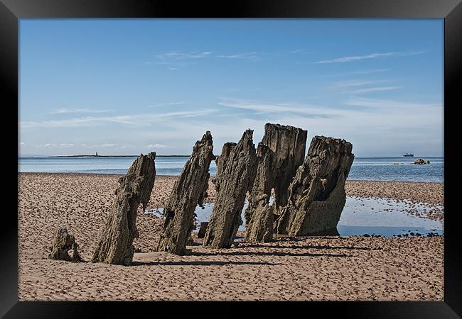 Wreck remains Framed Print by Sam Smith