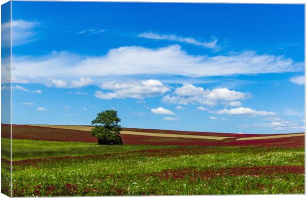 Field, tree and sky. Canvas Print by Sergey Fedoskin