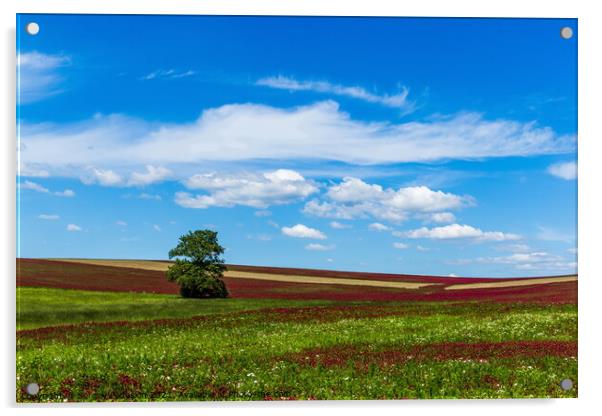 Field, tree and sky. Acrylic by Sergey Fedoskin