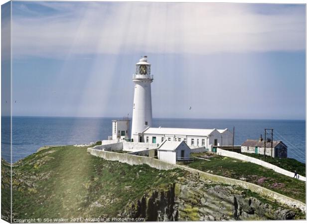 South Stack lighthouse, Anglesey  Canvas Print by Sue Walker