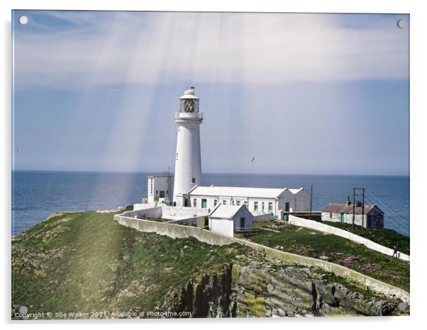 South Stack lighthouse, Anglesey  Acrylic by Sue Walker