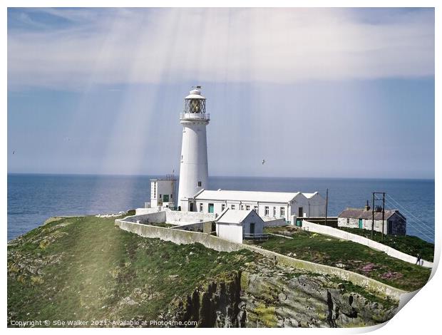 South Stack lighthouse, Anglesey  Print by Sue Walker