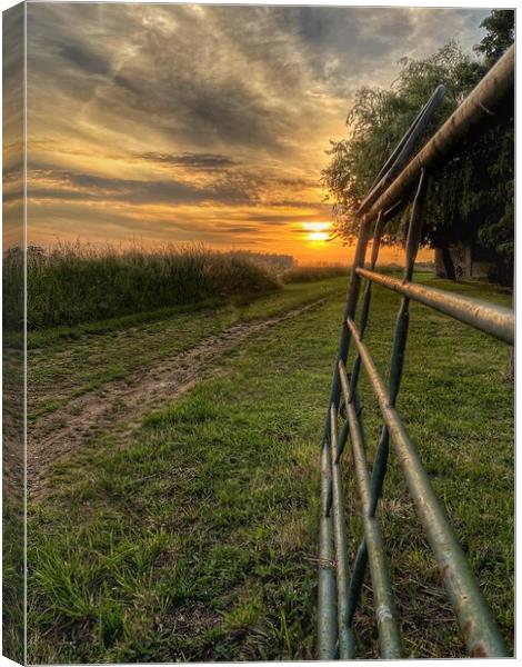 Countryside Sunset  Canvas Print by Jacqui Farrell