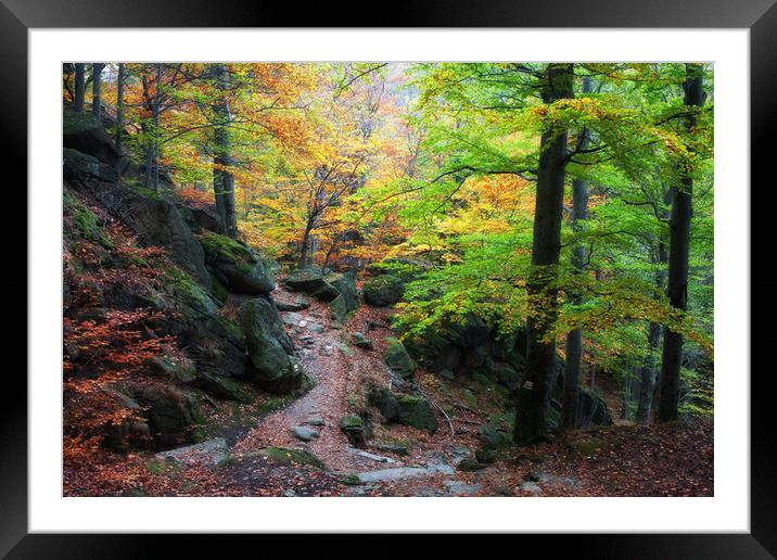 Autumn Mountain Forest Framed Mounted Print by Artur Bogacki