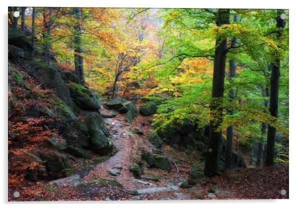 Autumn Mountain Forest Acrylic by Artur Bogacki