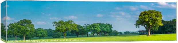 Green fields and trees. Canvas Print by Bill Allsopp