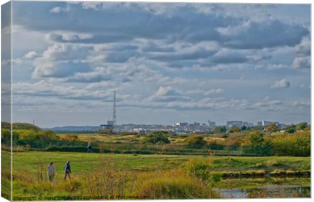 Southend on Sea skyline from Gunners Park Nature Reserve, Shoeburyness, Essex, UK. Canvas Print by Peter Bolton