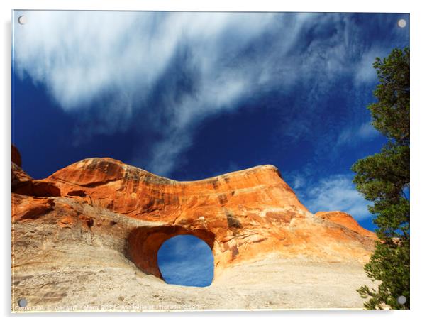 Tunnel Arch, Arches National Park, Utah, USA Acrylic by Geraint Tellem ARPS