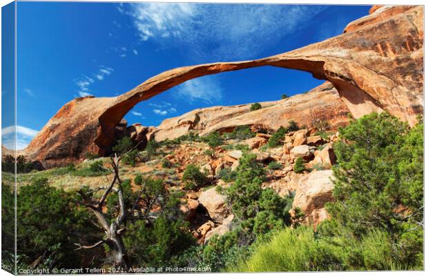 Landscape Arch, Arches National Park, Utah, USA Canvas Print by Geraint Tellem ARPS