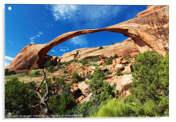 Landscape Arch, Arches National Park, Utah, USA Acrylic by Geraint Tellem ARPS