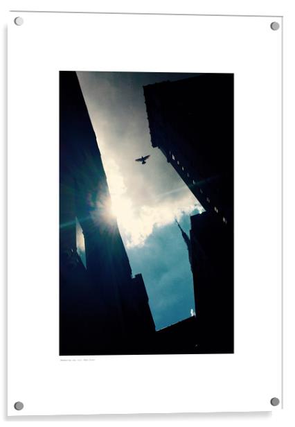 Manhattan sky (ii) (New York) Acrylic by Michael Angus