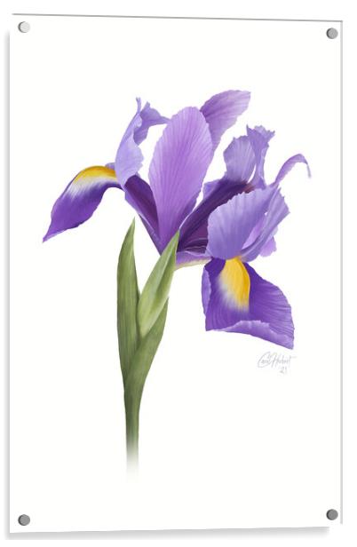 Iris Flower Original Artwork Acrylic by Carol Herbert