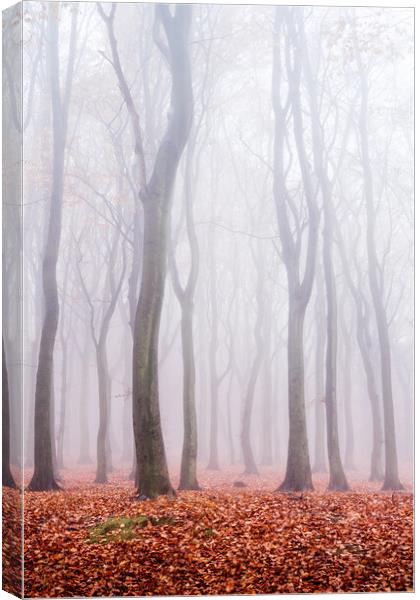 Spectres Canvas Print by David Semmens