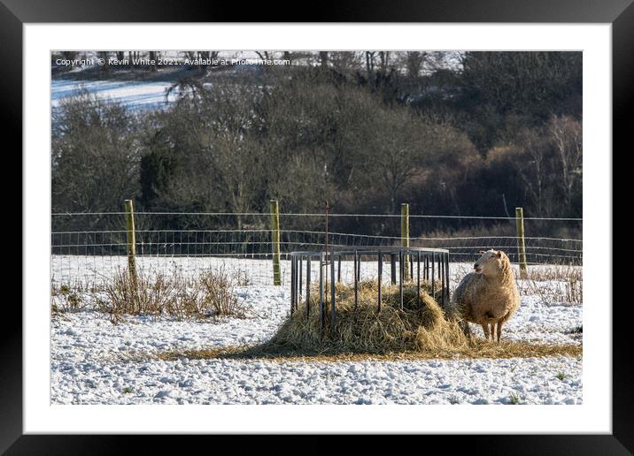 This hay is mine Framed Mounted Print by Kevin White