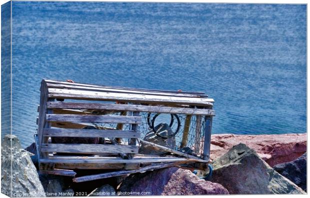 Old Lobster Trap Canvas Print by Elaine Manley