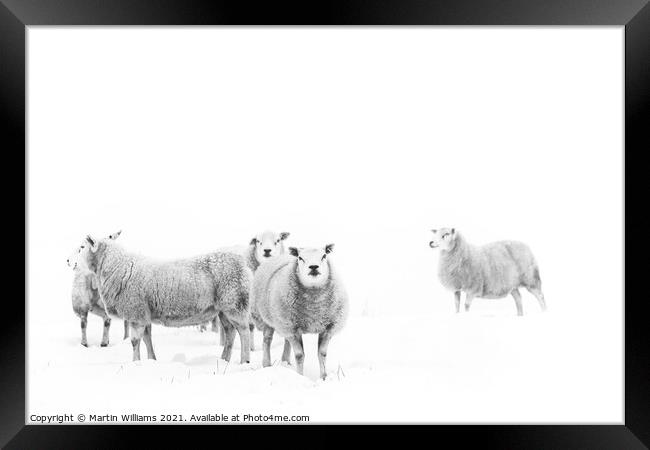 Sheep on the North York Moors in snow. Framed Print by Martin Williams