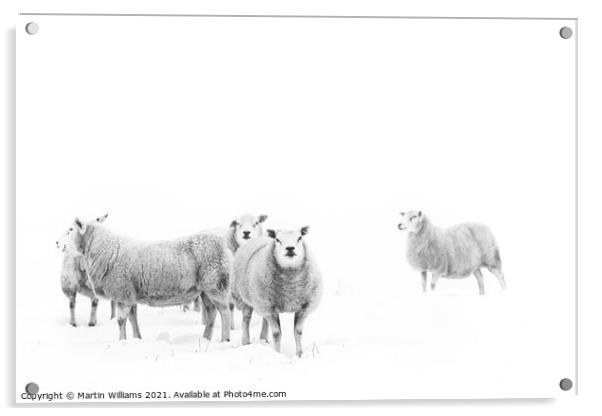 Sheep on the North York Moors in snow. Acrylic by Martin Williams