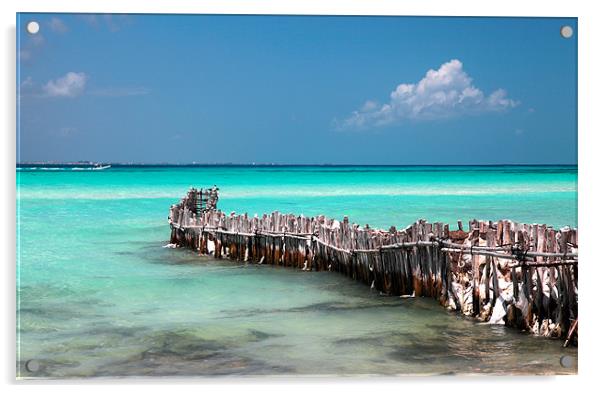 caribbean sea , mexico Acrylic by milena boeva