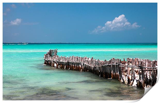 caribbean sea , mexico Print by milena boeva