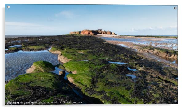 Hilbre Island Rockpools, Wirral Acrylic by Liam Neon