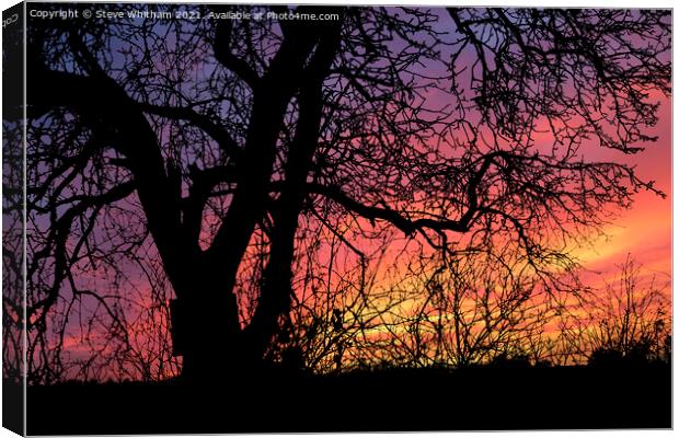 See The Light. Canvas Print by Steve Whitham