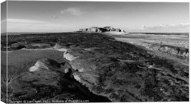 Hilbre on the Rocks Monochrome Canvas Print by Liam Neon