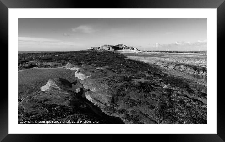 Hilbre on the Rocks Monochrome Framed Mounted Print by Liam Neon