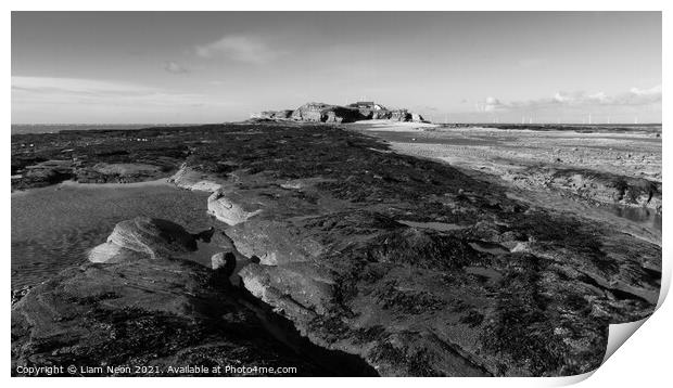 Hilbre on the Rocks Monochrome Print by Liam Neon