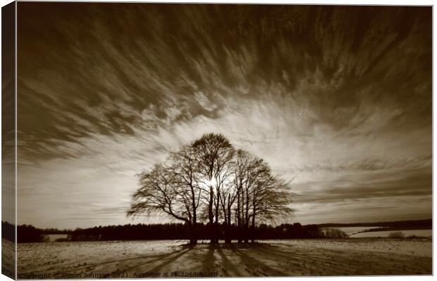 Trees and sky Canvas Print by Simon Johnson