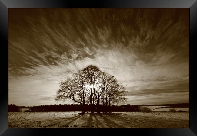 Trees and sky Framed Print by Simon Johnson