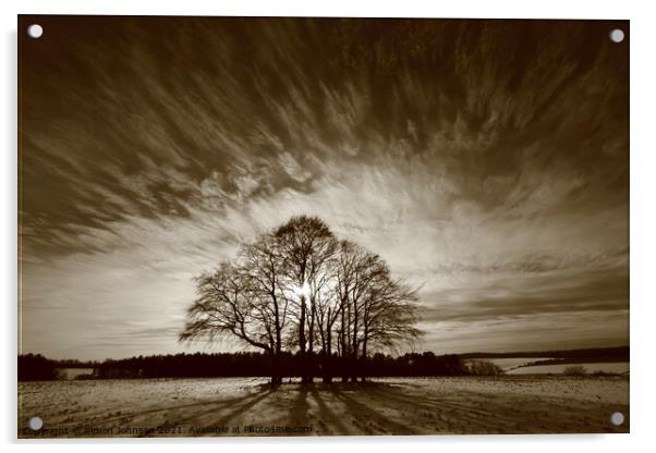 Trees and sky Acrylic by Simon Johnson
