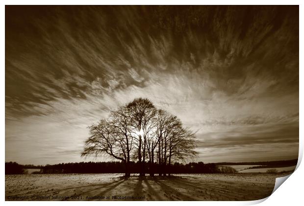 Trees and sky Print by Simon Johnson