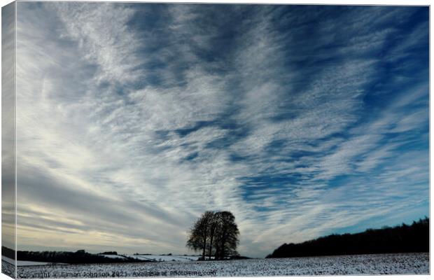 Trees clouds and sky Canvas Print by Simon Johnson