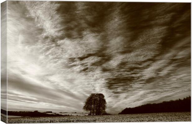 Trees, clouds and sky Canvas Print by Simon Johnson