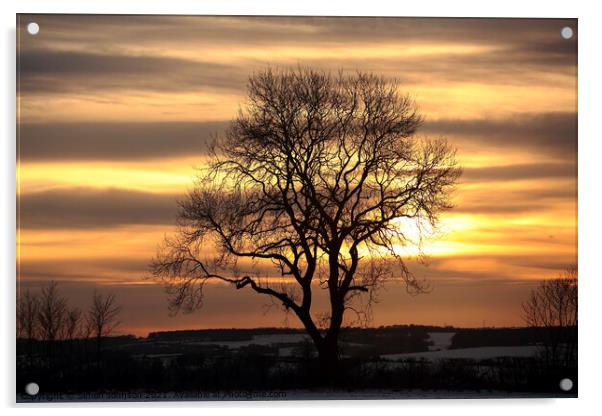Tree silhouette sunset Acrylic by Simon Johnson