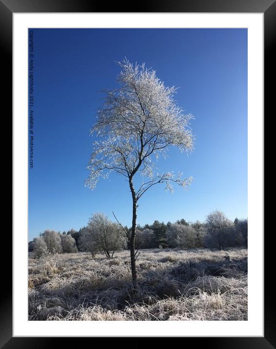 Frosty tree Framed Mounted Print by Andy Lightbody