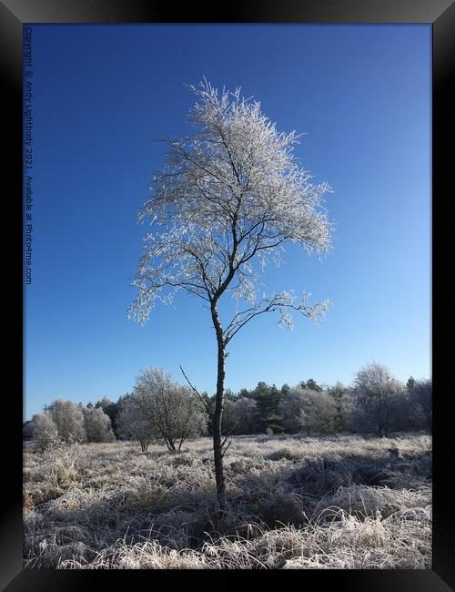 Frosty tree Framed Print by Andy Lightbody