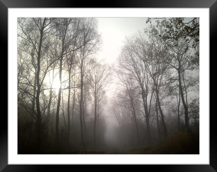 Misty Wood Framed Mounted Print by Andy Lightbody