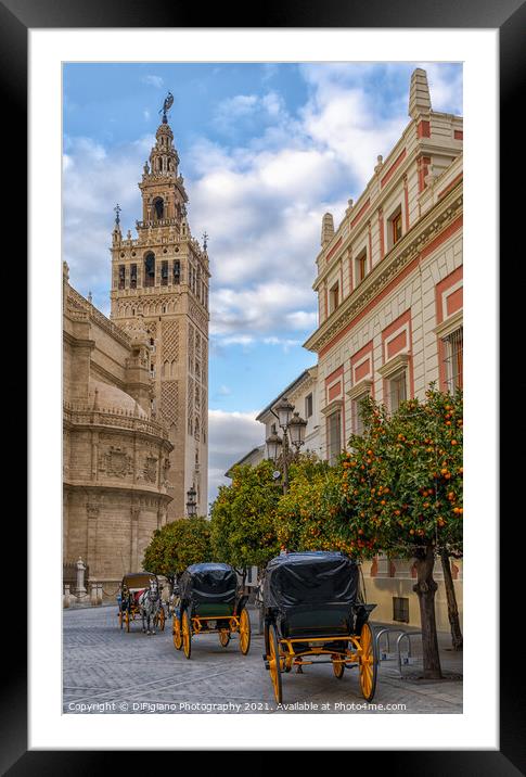 Plaza de Triunfo Framed Mounted Print by DiFigiano Photography