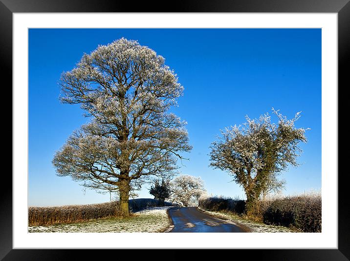 Winter Trees Framed Mounted Print by Trevor Kersley RIP