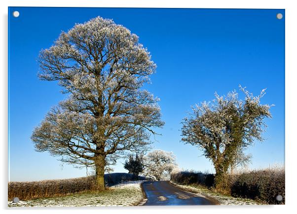 Winter Trees Acrylic by Trevor Kersley RIP